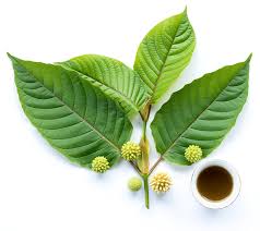 2oz. UnBeLeafable Greens Premium Maeng Da Kratom Leaf Powder - White Vein